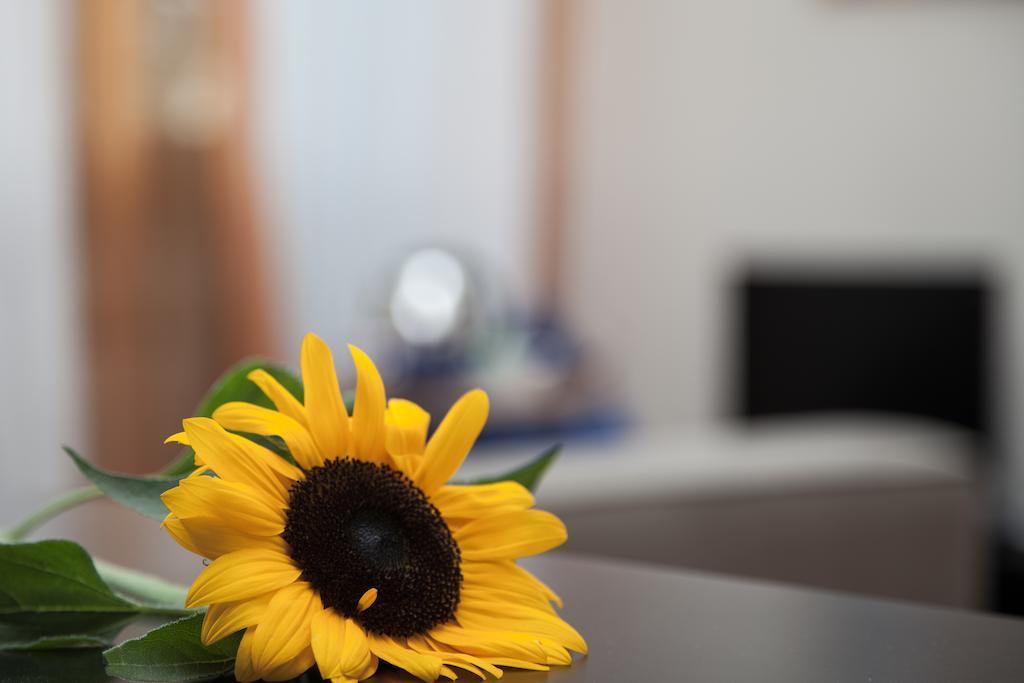Santa Croce Bed and breakfast Roma